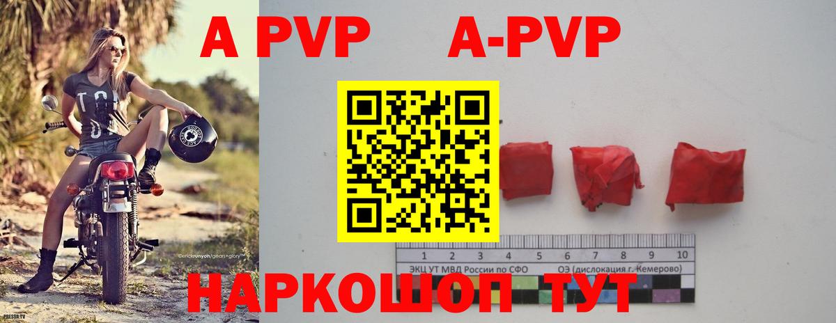 Alfa_PVP СК КРИС Черкесск