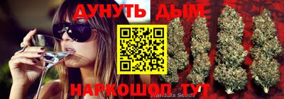 кокс Кимры
