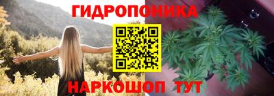 гашишное масло Кингисепп